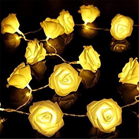 Rose Flower Led Serial String Lights - |10 Feet 14 Led Rose Lights for Home Decoration Indoor Outdoor(Warm White Plug-in)